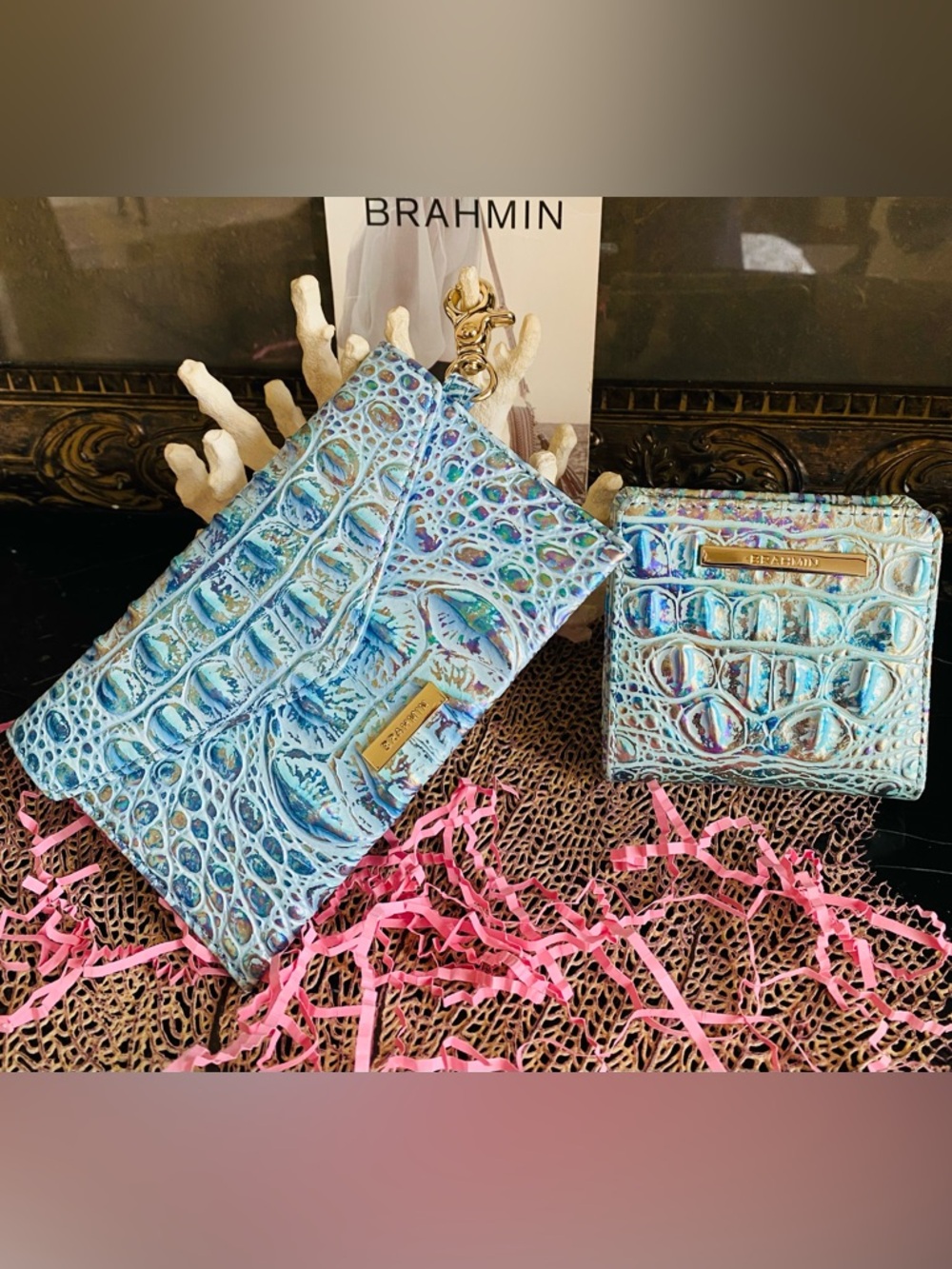 ❄️(2)WONDERLAND MELBOURNE Brahmin JANE Wallet and Clip-on CASE